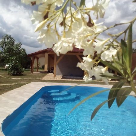 Potyka Apartman ทิสซาฟือแรด ภายนอก รูปภาพ